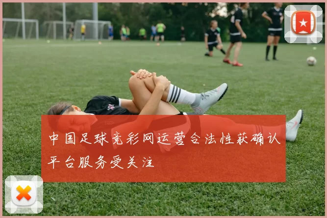 中国足球竞彩网运营合法性获确认平台服务受关注