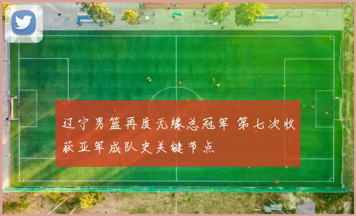 辽宁男篮再度无缘总冠军 第七次收获亚军成队史关键节点