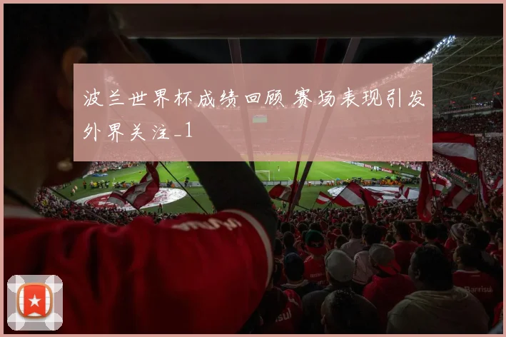 波兰世界杯成绩回顾 赛场表现引发外界关注_1